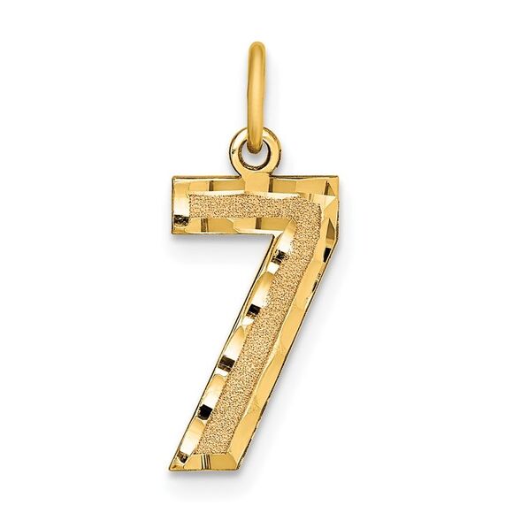 14k Yellow Gold Medium Diamond-cut Number 7 Charm